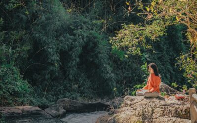 Connecting with Nature: The Essential Healing Power for Highly Sensitive People